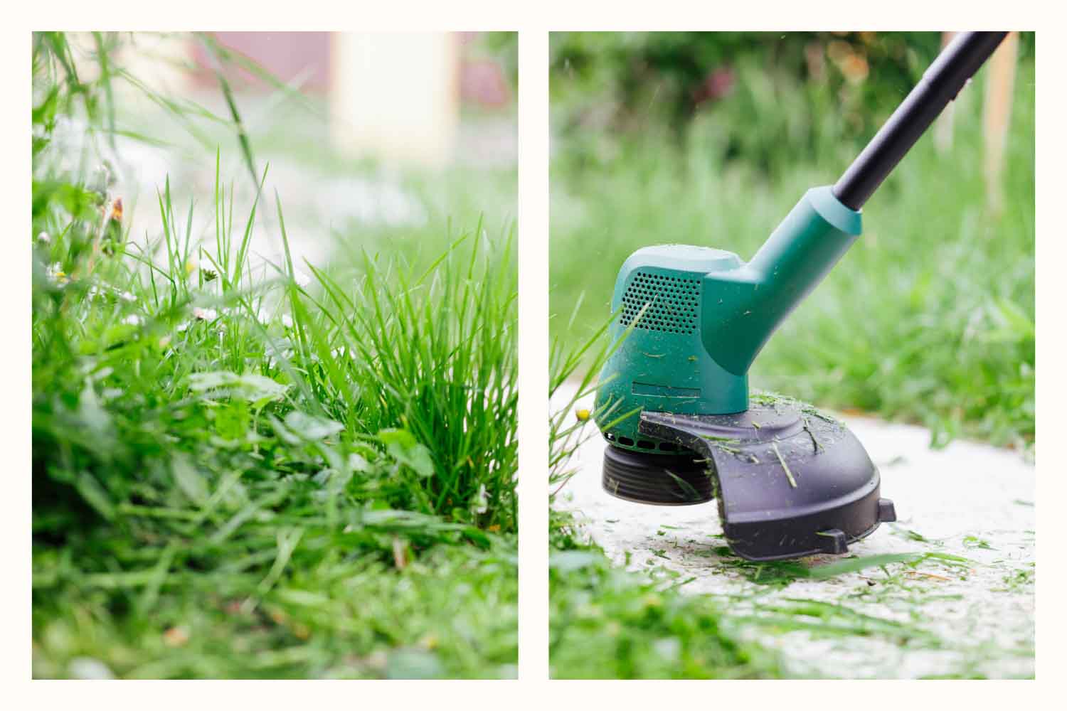 Lawn Care and Landscape Maintenance in Joliet