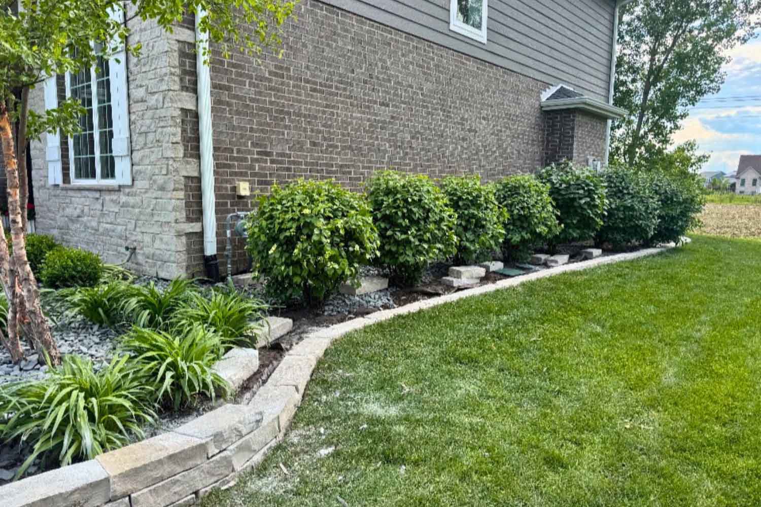 Lawn Care and Landscape Maintenance in Joliet